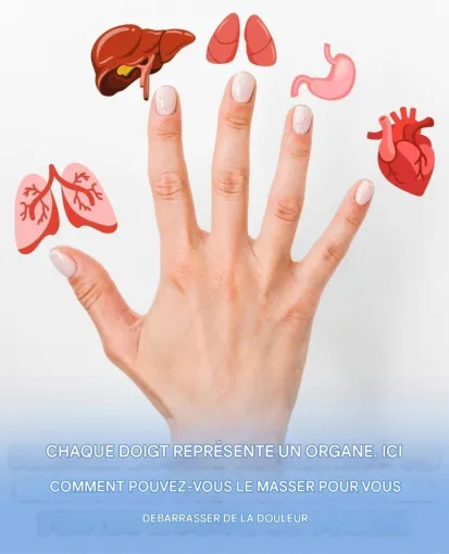 Réflexologie palmaire à Entre-Deux, Entre-Deux, L'Anessence Divine 432