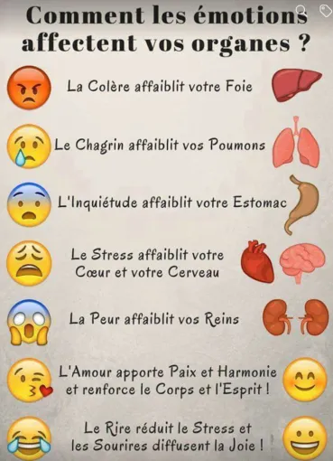 quelle émotion  est relié au différents organes