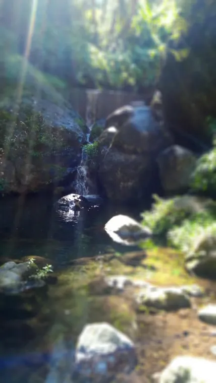 Le pouvoir de l'eau, Entre-Deux, L'Anessence Divine 432