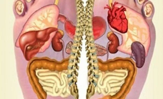 Réflexologue à Entre-Deux, Entre-Deux, L'Anessence Divine 432